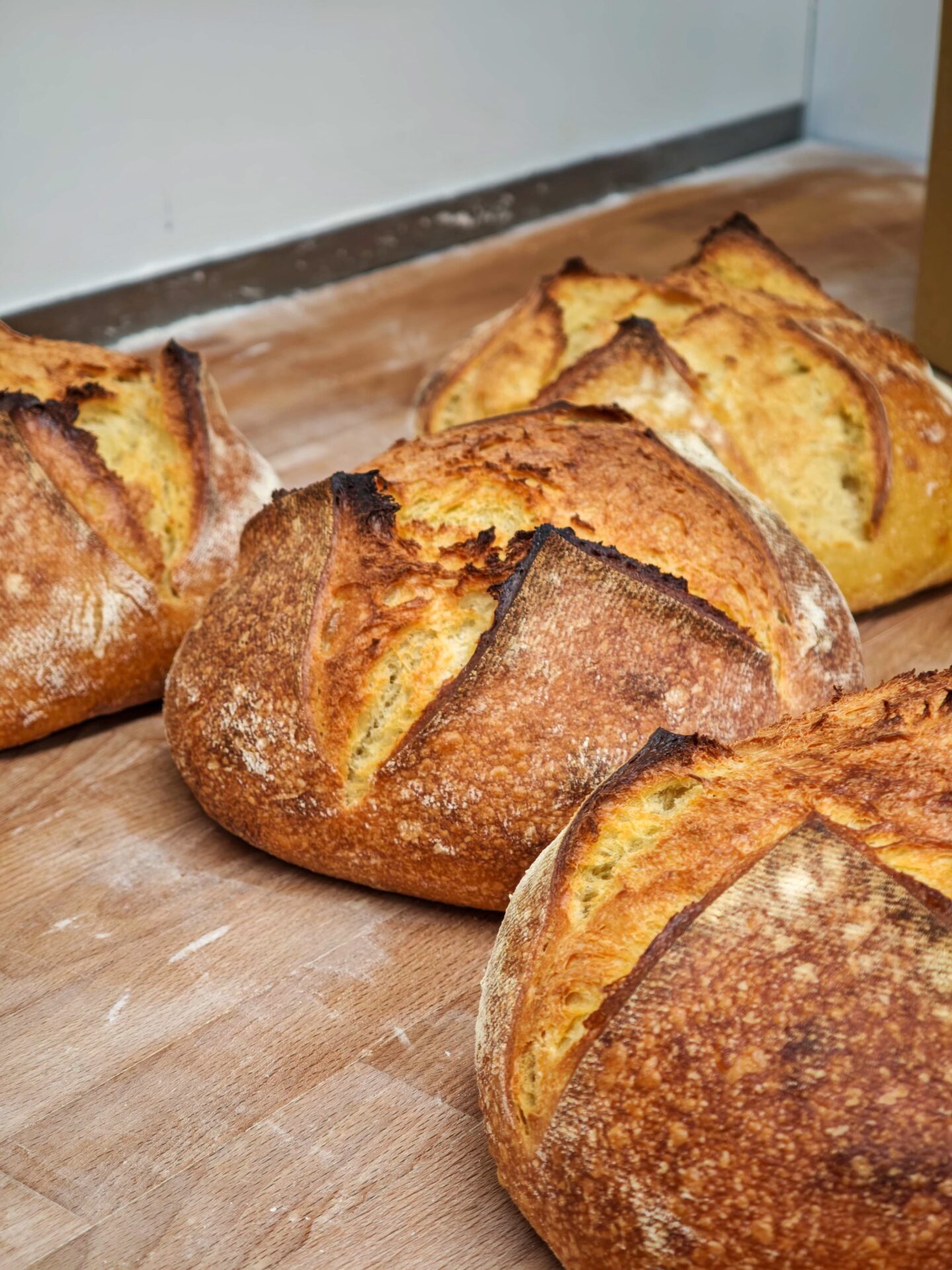 italienisches Pane Pugliese (Sa. 13.06.)